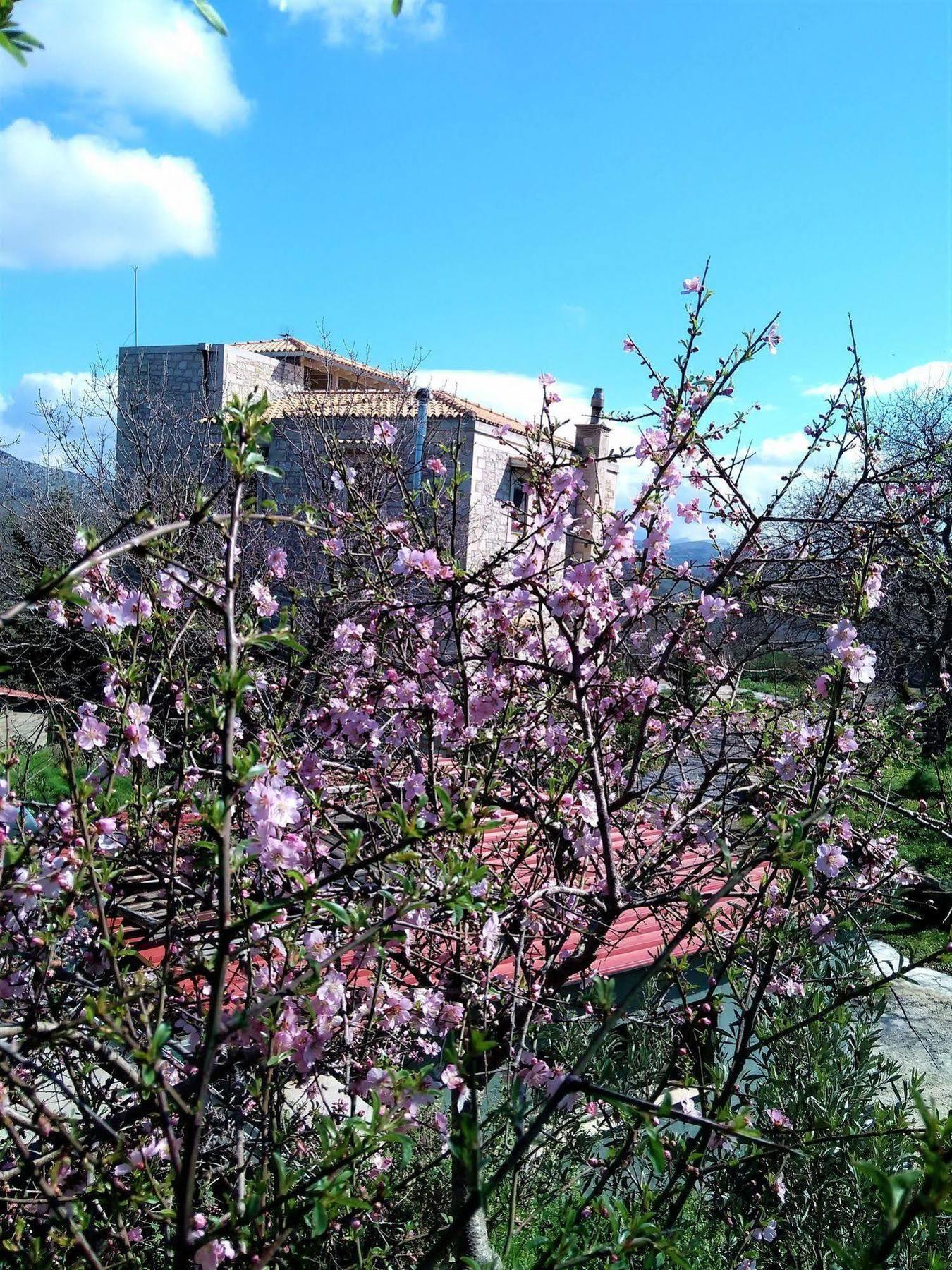 Villa Ermis - The Cretan Castello Kástellos Exterior photo